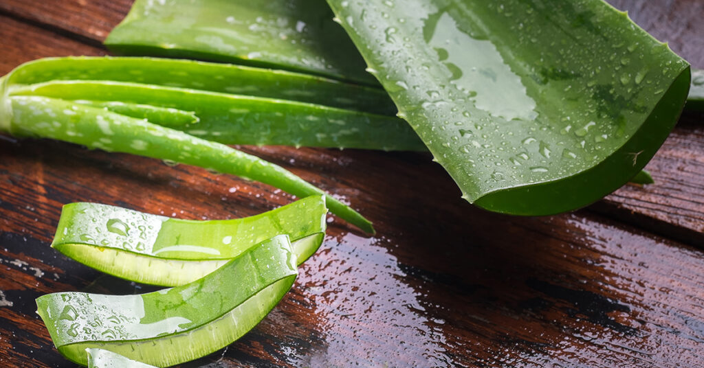 Aloe leaves laying on a dark brown surface with a large leaf cut open to show inner gel